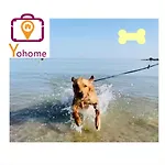 Zara D'amare A 10 Metri Dalla By Yohome *